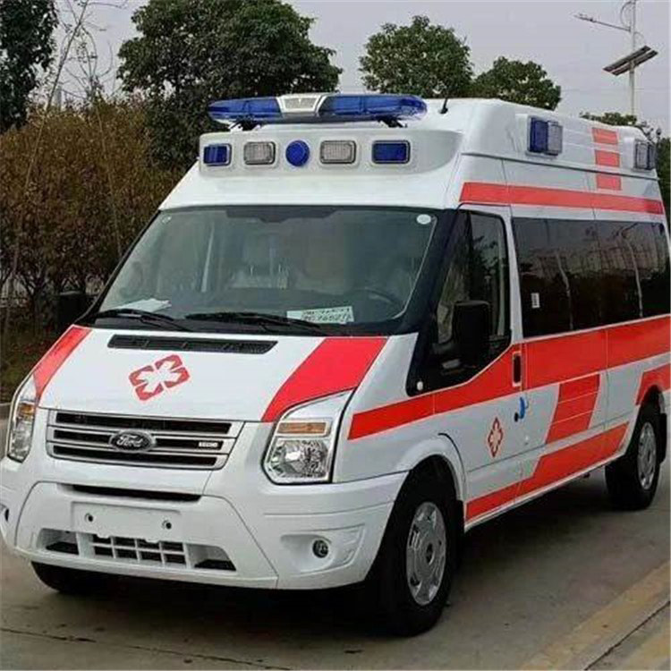 1769500346358902.jpg 750750 (25).jpg